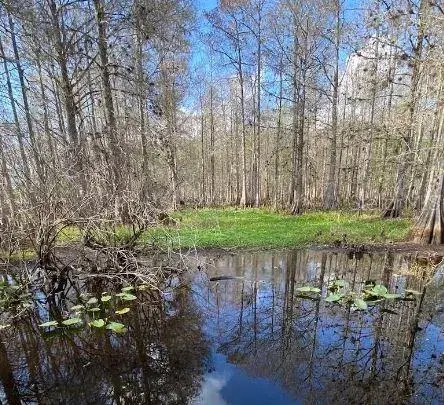 Property for sale at N/A, LAKE WALES, FL, 33898