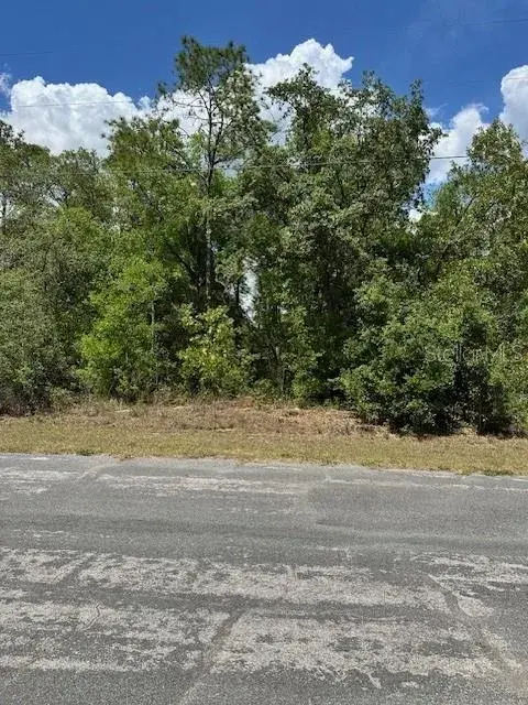 Property for sale at 2235 W SUMMER PLACE, DUNNELLON, FL, 34434