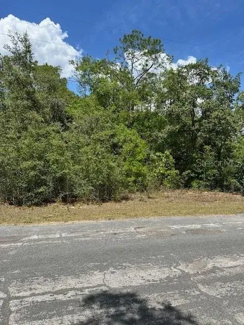 Property for sale at 2235 W SUMMER PLACE, DUNNELLON, FL, 34434