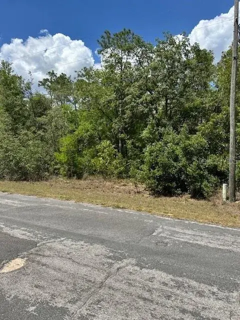 Property for sale at 2235 W SUMMER PLACE, DUNNELLON, FL, 34434