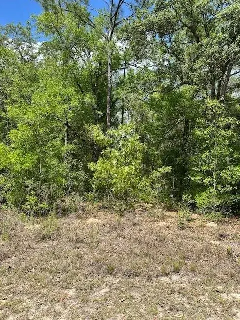 Property for sale at 2235 W SUMMER PLACE, DUNNELLON, FL, 34434