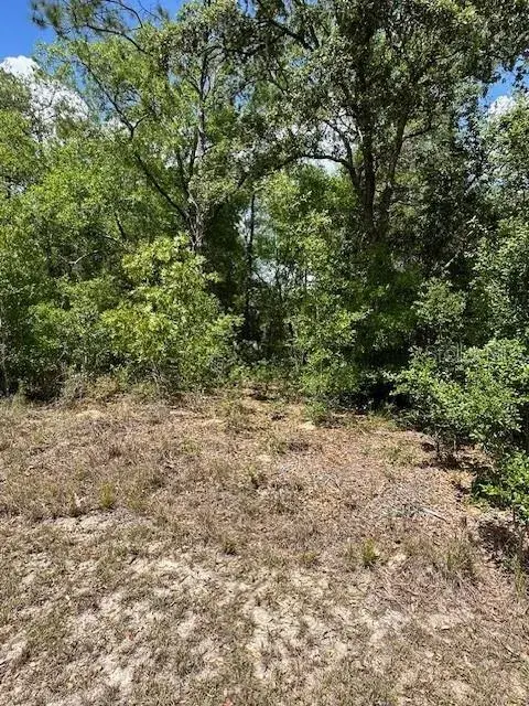 Property for sale at 2235 W SUMMER PLACE, DUNNELLON, FL, 34434