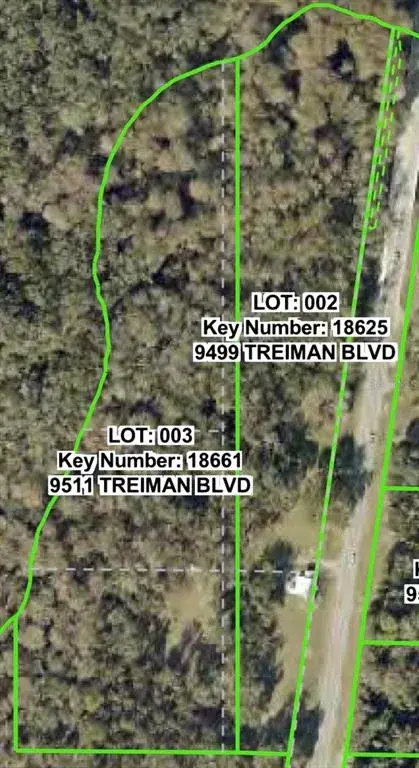 Property for sale at 9499 TREIMAN BOULEVARD, WEBSTER, FL, 33597