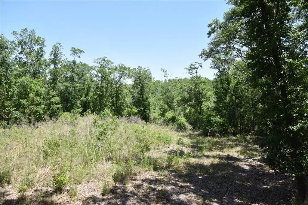 Property for sale at 21312 NE 69TH PLACE, MELROSE, FL, 32666
