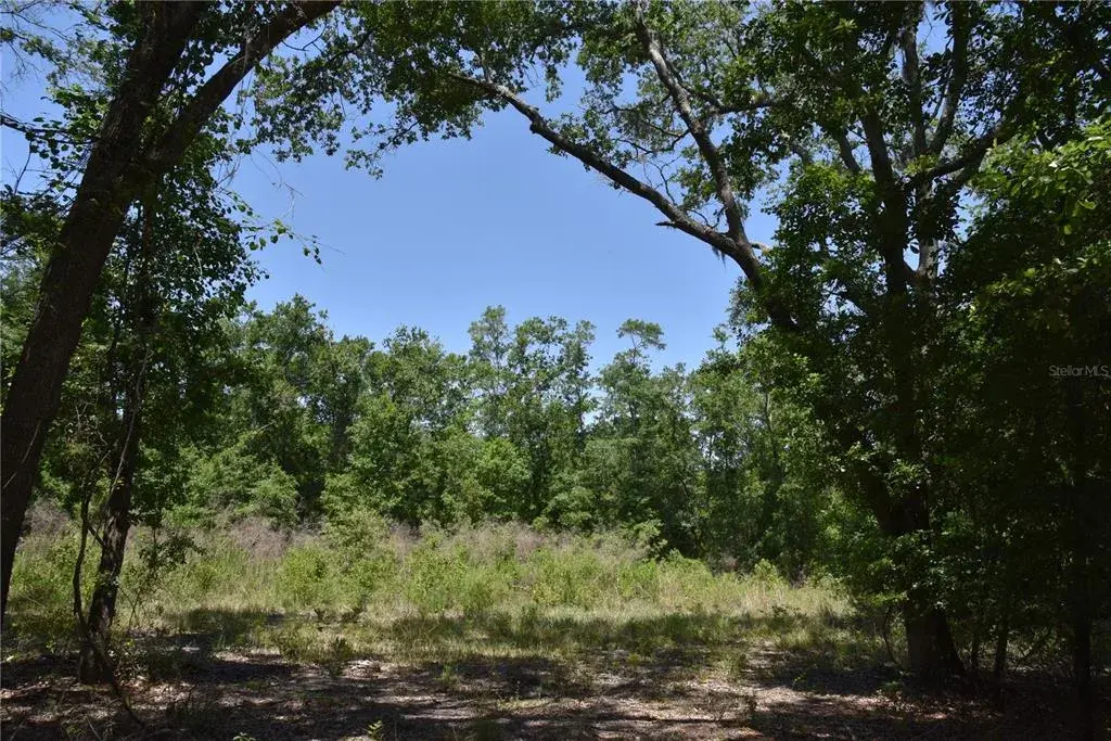 Property for sale at 21312 NE 69TH PLACE, MELROSE, FL, 32666