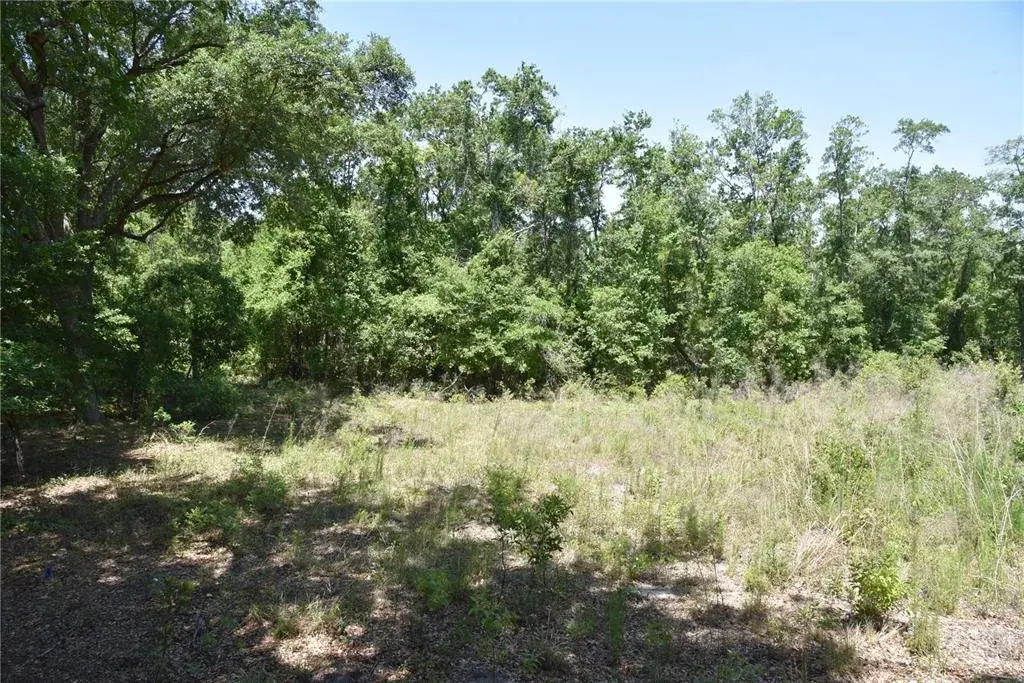Property for sale at 21312 NE 69TH PLACE, MELROSE, FL, 32666