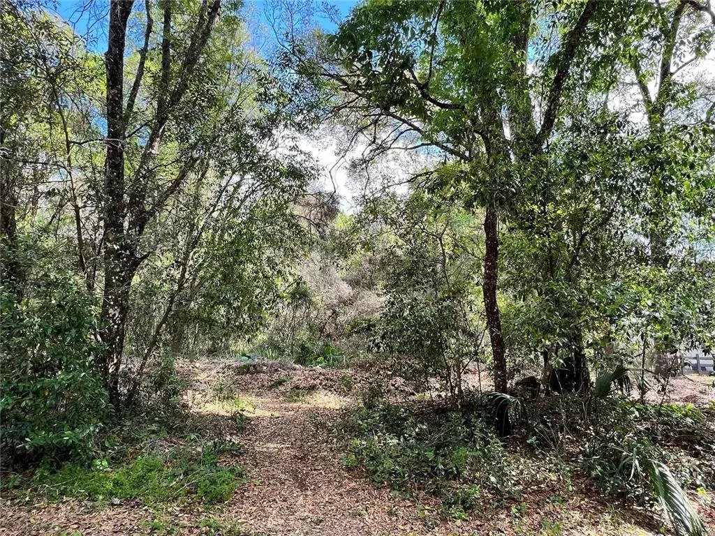 Property for sale at 0 GARFIELD AVENUE, BROOKSVILLE, FL, 34604