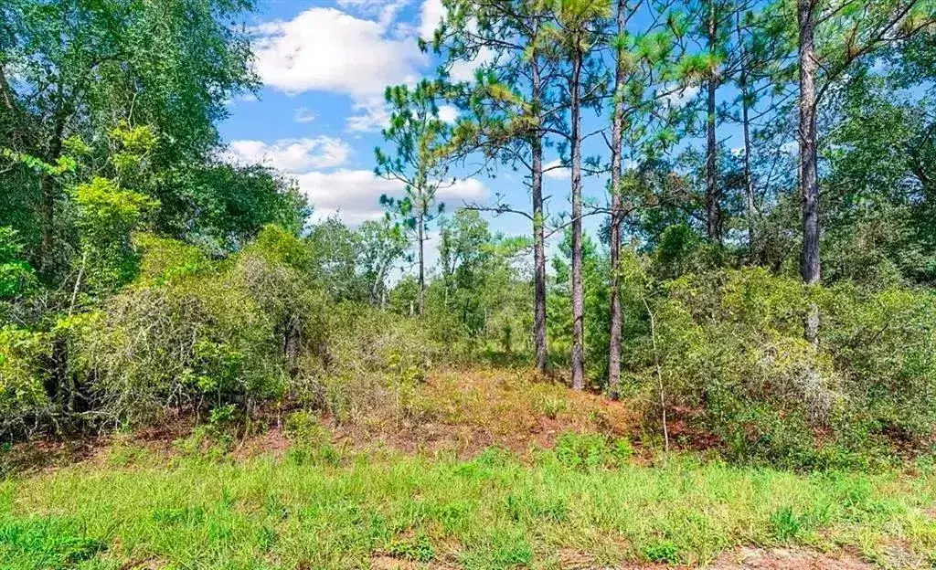 Property for sale at 175 FISHER LN COURT, OCKLAWAHA, FL, 32179