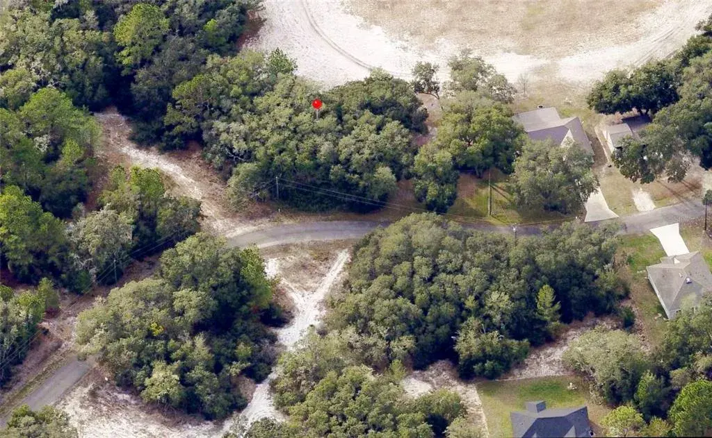 Property for sale at 175 FISHER LN COURT, OCKLAWAHA, FL, 32179