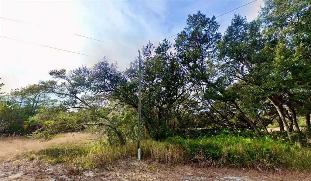 Property for sale at 175 FISHER LN COURT, OCKLAWAHA, FL, 32179