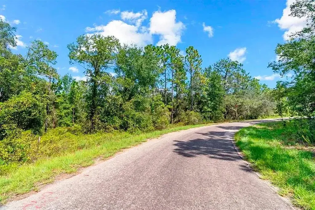 Property for sale at 175 FISHER LN COURT, OCKLAWAHA, FL, 32179
