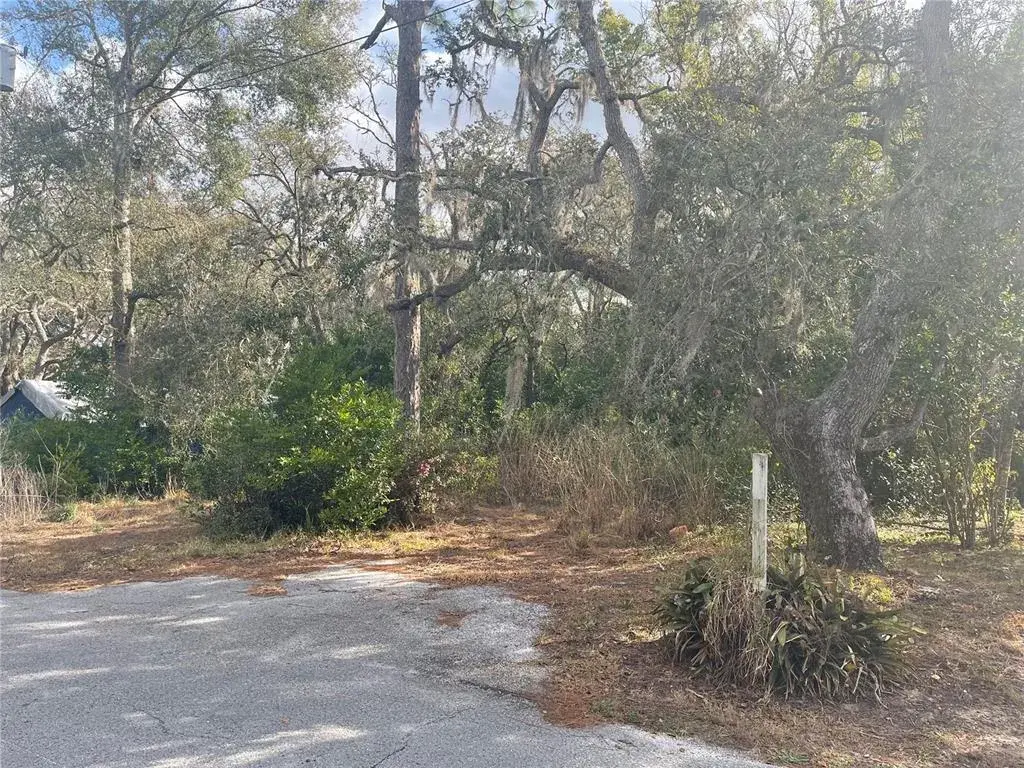 Property for sale at 10024 OANA STREET, NEW PORT RICHEY, FL, 34654