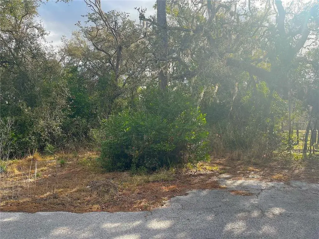 Property for sale at 10024 OANA STREET, NEW PORT RICHEY, FL, 34654