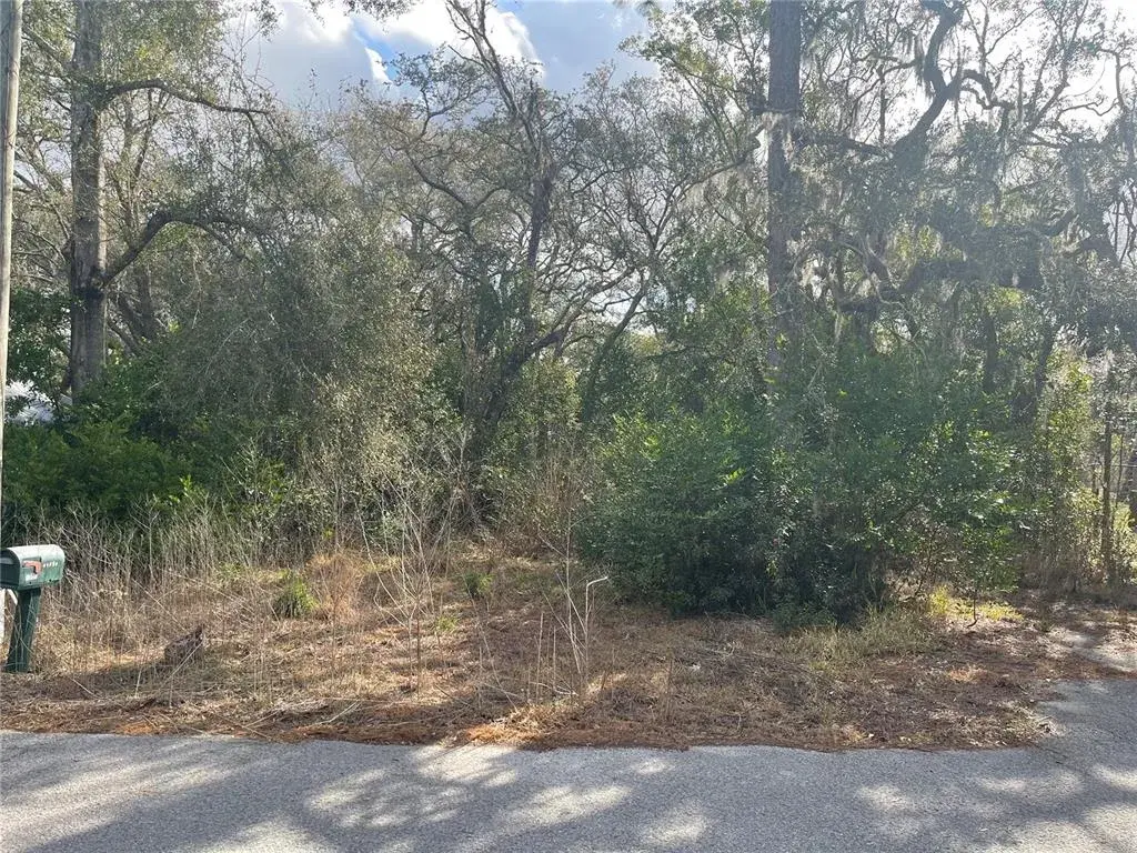 Property for sale at 10024 OANA STREET, NEW PORT RICHEY, FL, 34654