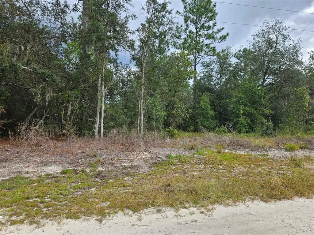 Property for sale at 0000 NE 67TH STREET, BRONSON, FL, 32621