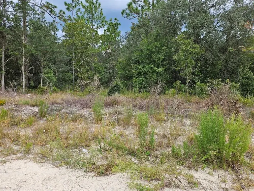 Property for sale at 0000 NE 67TH STREET, BRONSON, FL, 32621