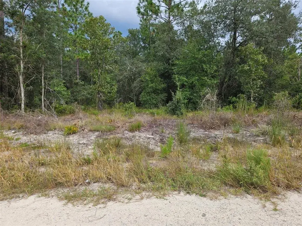 Property for sale at 0000 NE 67TH STREET, BRONSON, FL, 32621