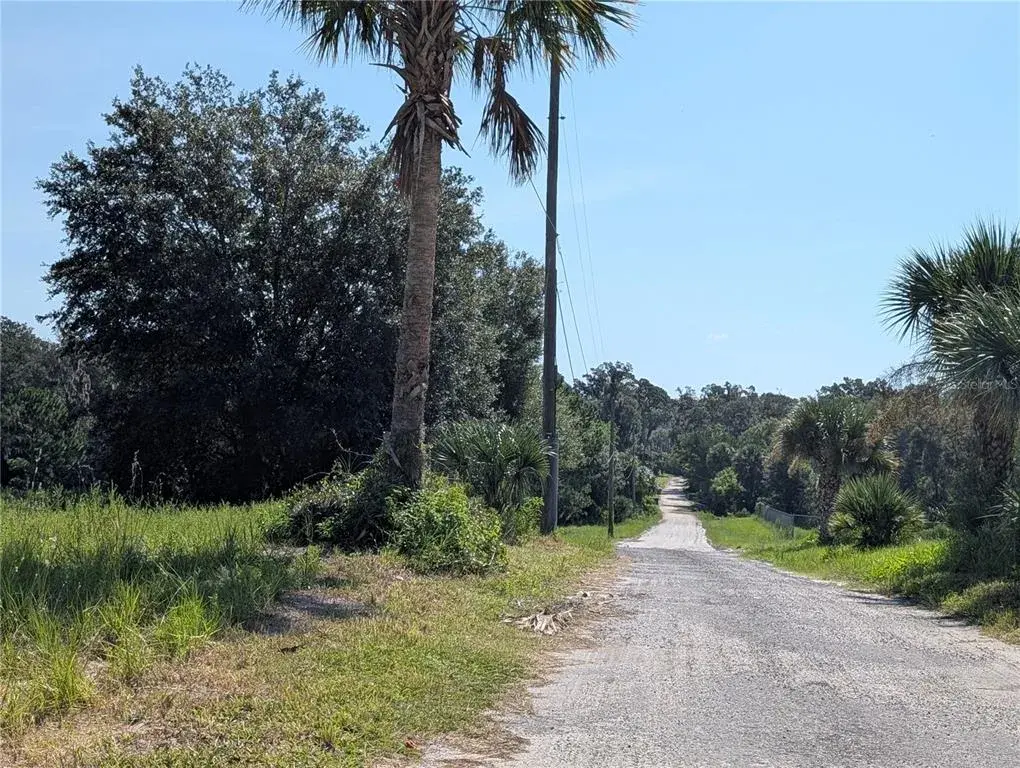 View down Grant Avenue to the property.