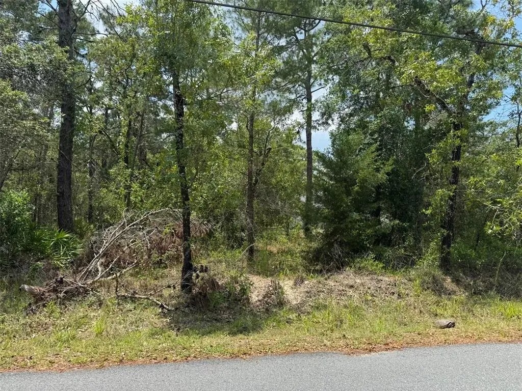 Property for sale at Lot 62 MICHIGAN AVENUE, WEEKI WACHEE, FL, 34613