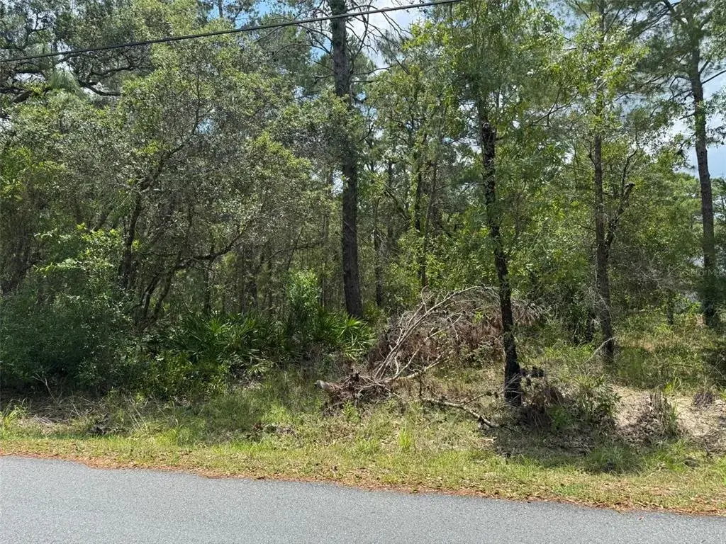 Property for sale at Lot 62 MICHIGAN AVENUE, WEEKI WACHEE, FL, 34613