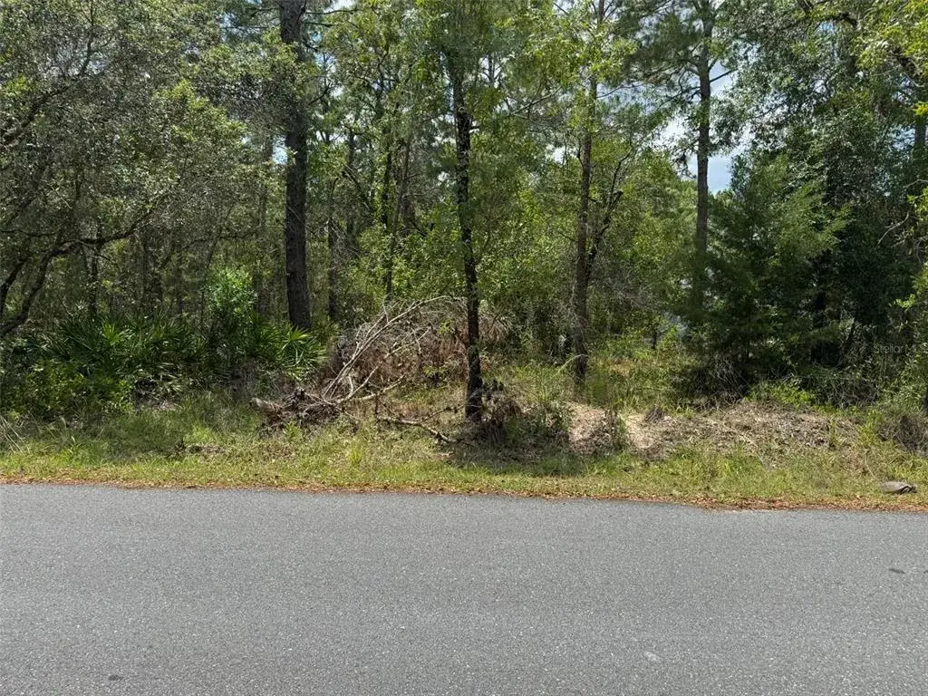 Property for sale at Lot 62 MICHIGAN AVENUE, WEEKI WACHEE, FL, 34613