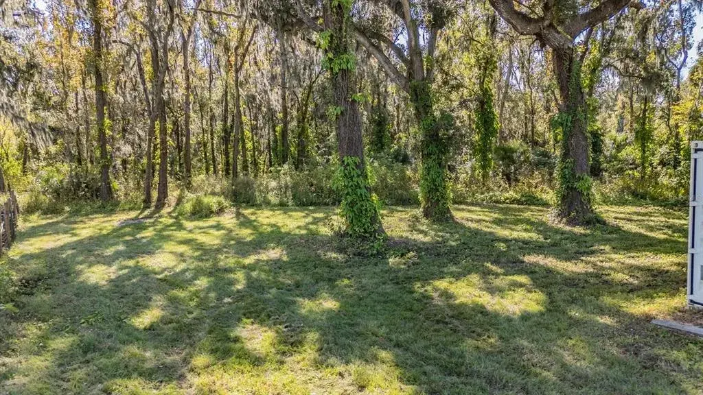Property for sale at 18113 672 HIGHWAY, LITHIA, FL, 33547
