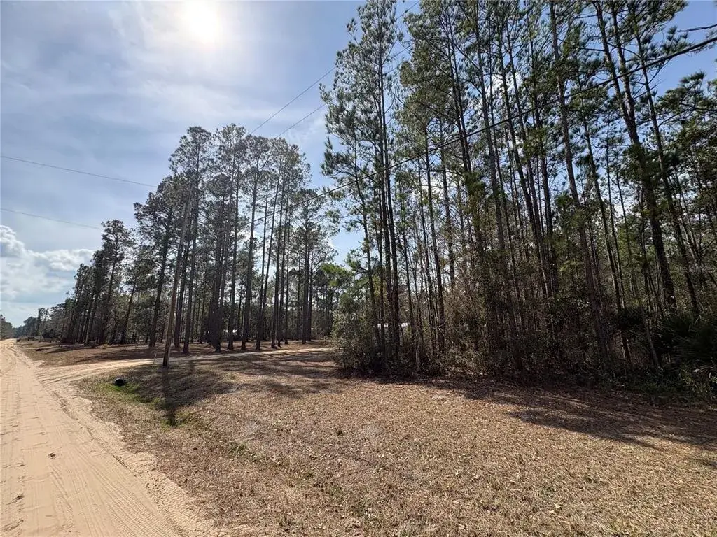 Property for sale at 4385 BONDARENKO ROAD, KEYSTONE HEIGHTS, FL, 32656