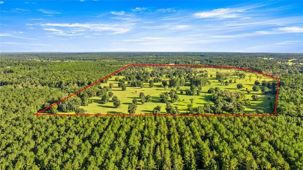 Property for sale at 17748 N HWY 329, REDDICK, FL, 32686