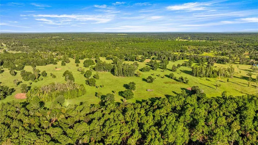 Property for sale at 17748 N HWY 329, REDDICK, FL, 32686