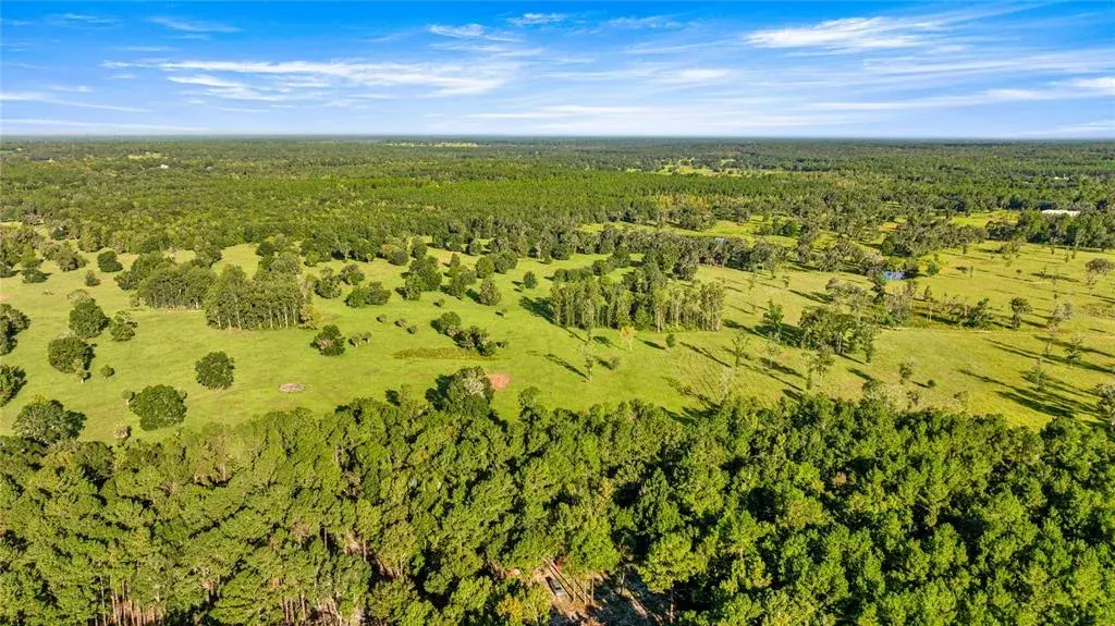 Property for sale at 17748 N HWY 329, REDDICK, FL, 32686
