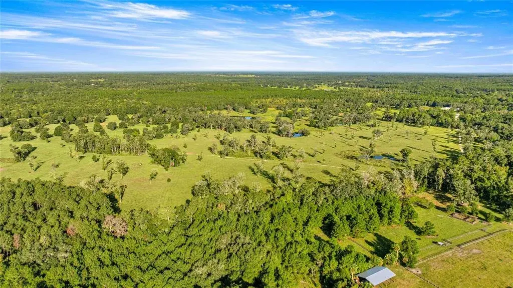 Property for sale at 17748 N HWY 329, REDDICK, FL, 32686