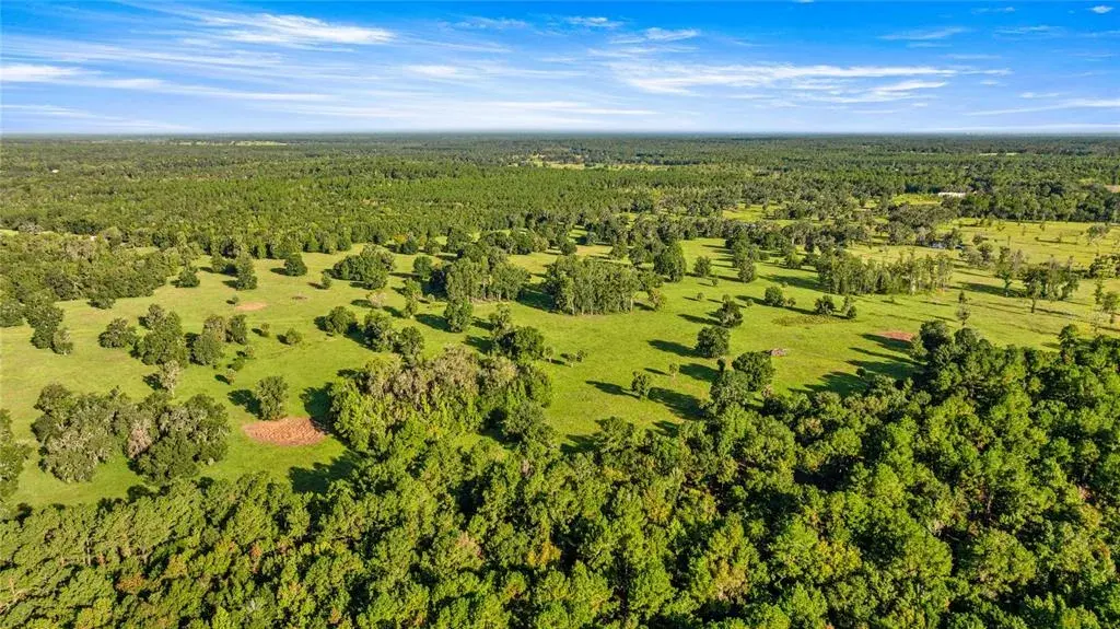Property for sale at 17748 N HWY 329, REDDICK, FL, 32686