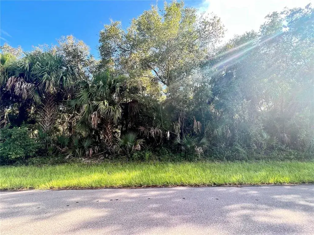 Property for sale at 14455 BLACK AVENUE, PORT CHARLOTTE, FL, 33953
