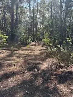 Property for sale at 37610 OAKLEE ROAD, UMATILLA, FL, 32784