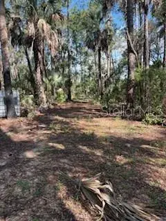 Property for sale at 37610 OAKLEE ROAD, UMATILLA, FL, 32784