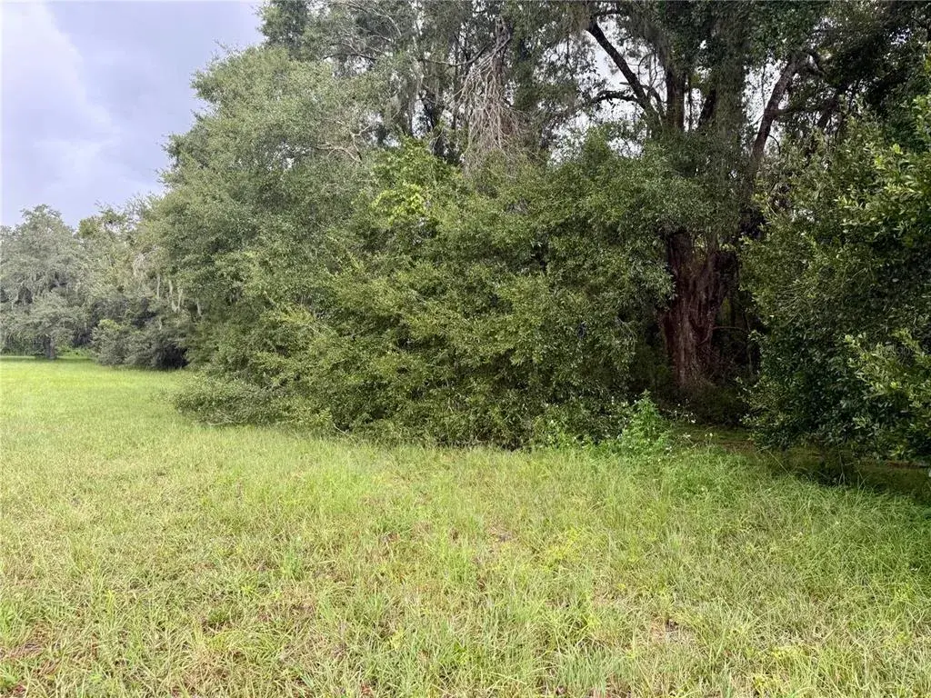 Property for sale at 0 STATE ROAD 471, WEBSTER, FL, 33597