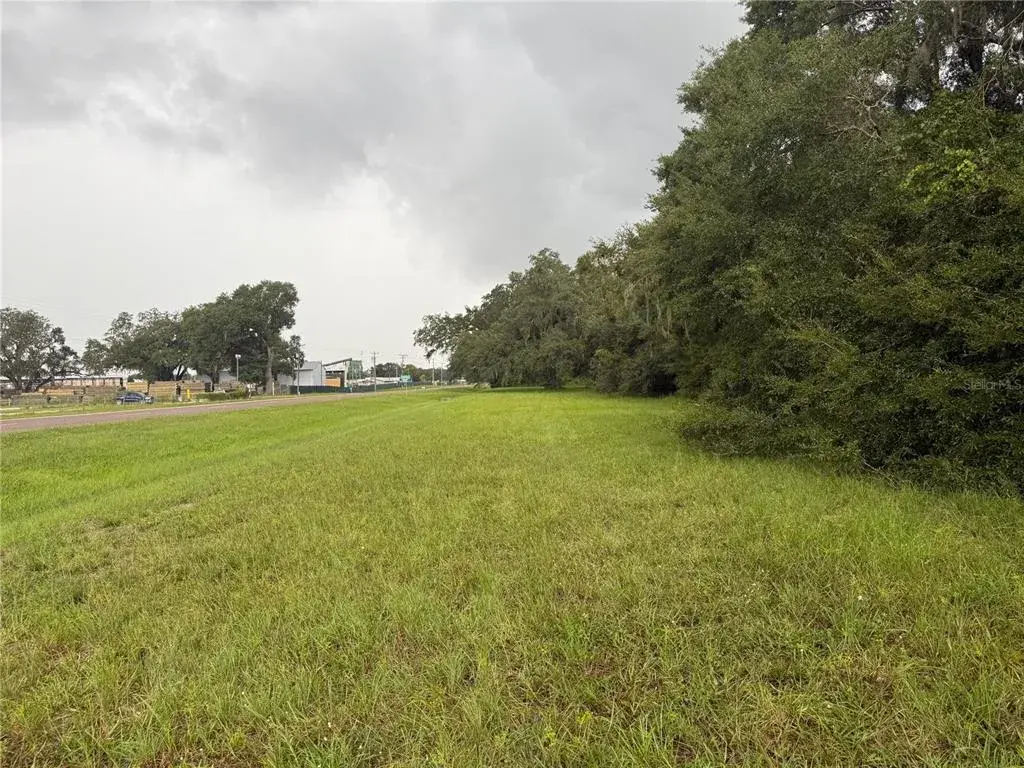 Property for sale at 0 STATE ROAD 471, WEBSTER, FL, 33597