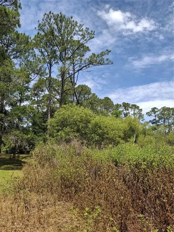 Side of lot