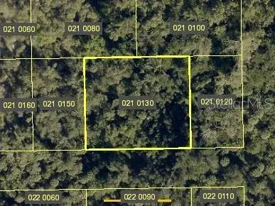 Property for sale at SANTIAGO STREET, ESTERO, FL, 34134