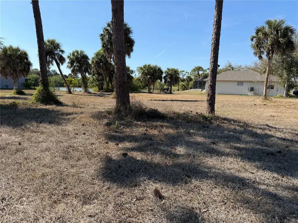 Mostly cleared lot.  It appears fill was added at some point.