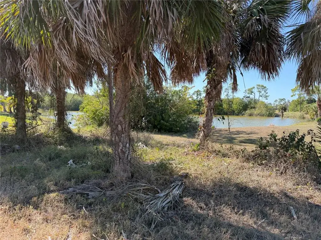 Pond view