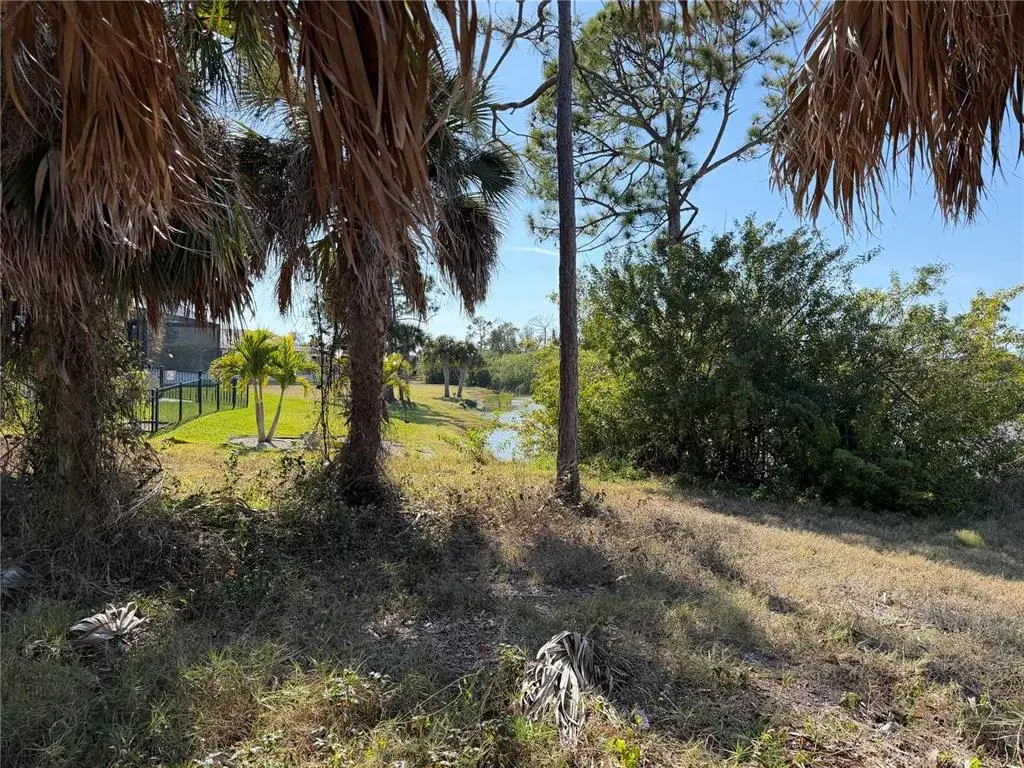 View from the back of the lot looking to the left shows the pond, the neighbor's fence and the right of way.