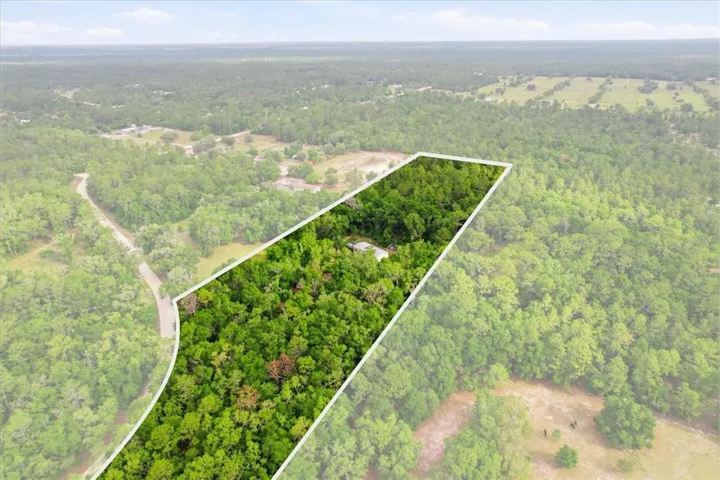 Property for sale at 3883 SW 165TH AVENUE ROAD, OCALA, FL, 34481