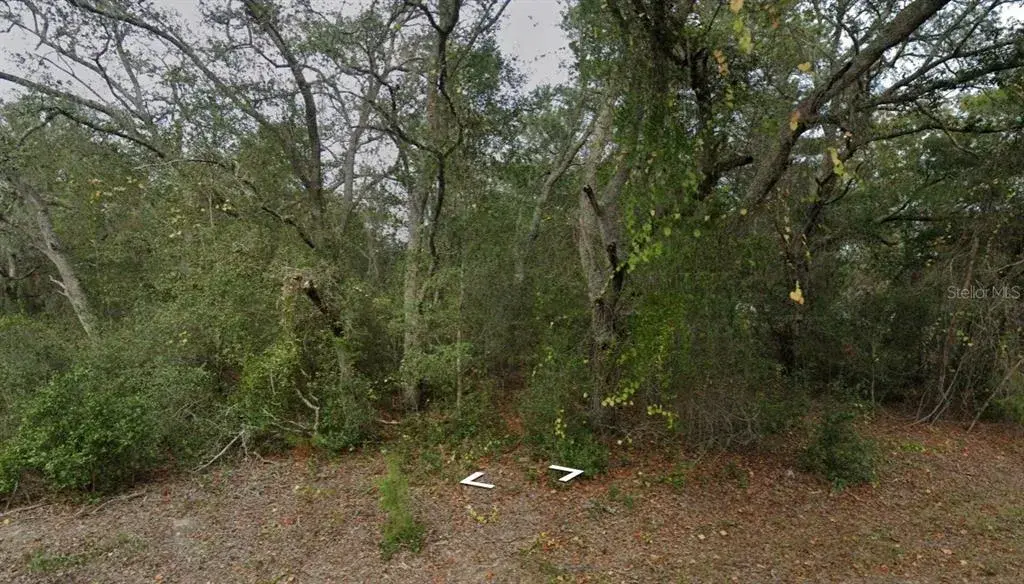 Property for sale at FISHER WAY DR LOT 16, OCKLAWAHA, FL, 32179