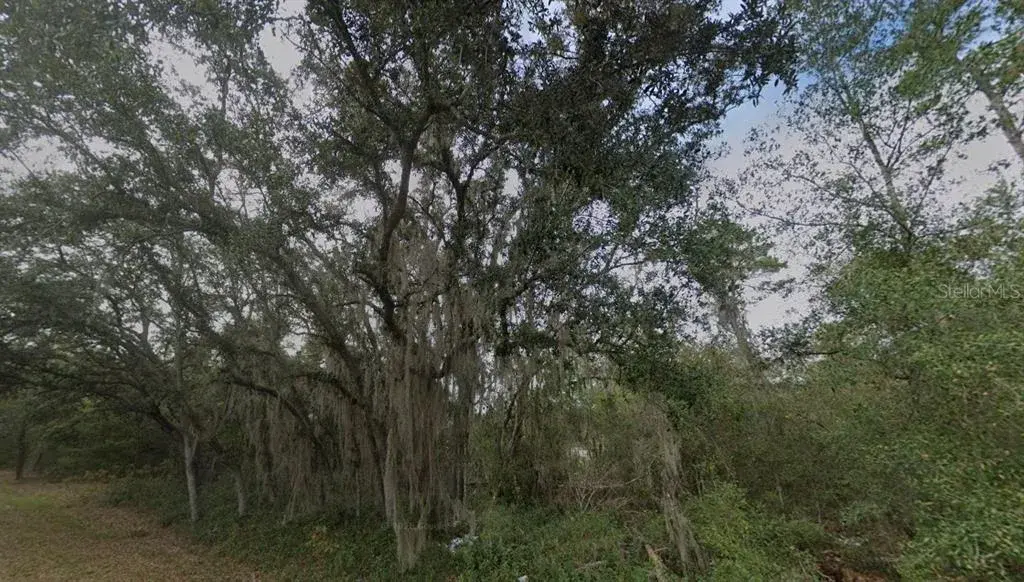 Property for sale at FISHER WAY DR LOT 16, OCKLAWAHA, FL, 32179