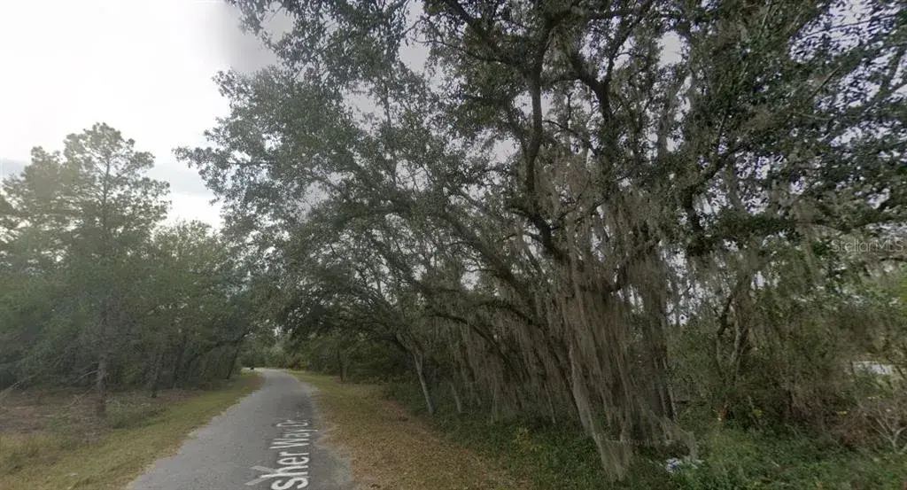 Property for sale at FISHER WAY DR LOT 16, OCKLAWAHA, FL, 32179