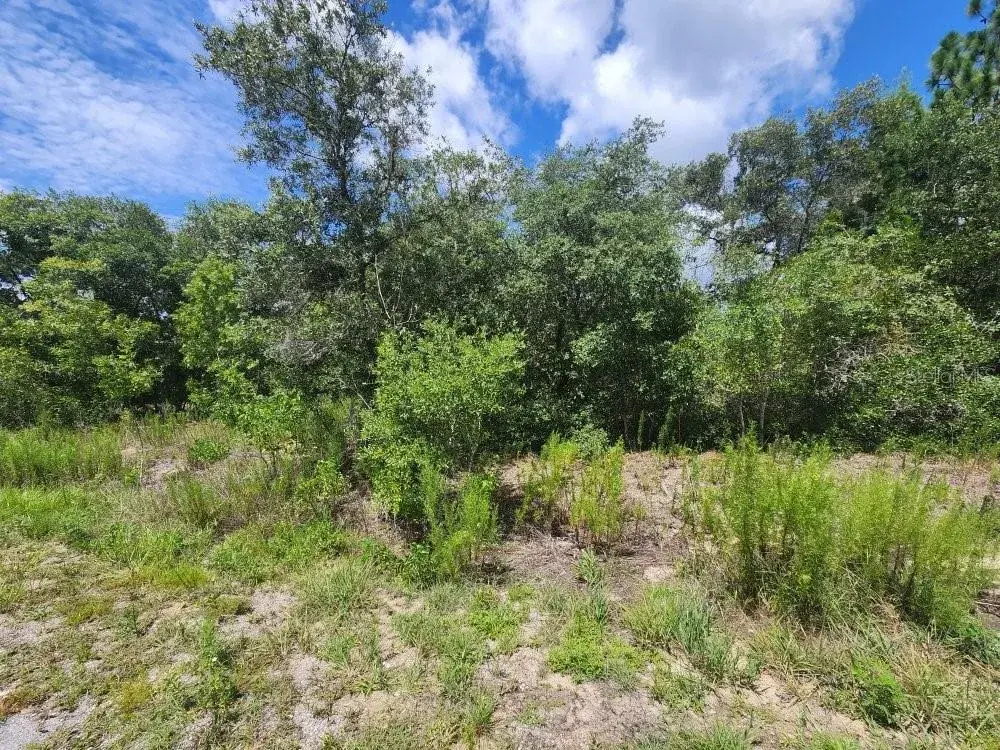 Property for sale at 00 SW GARDENIA COURT, DUNNELLON, FL, 34432