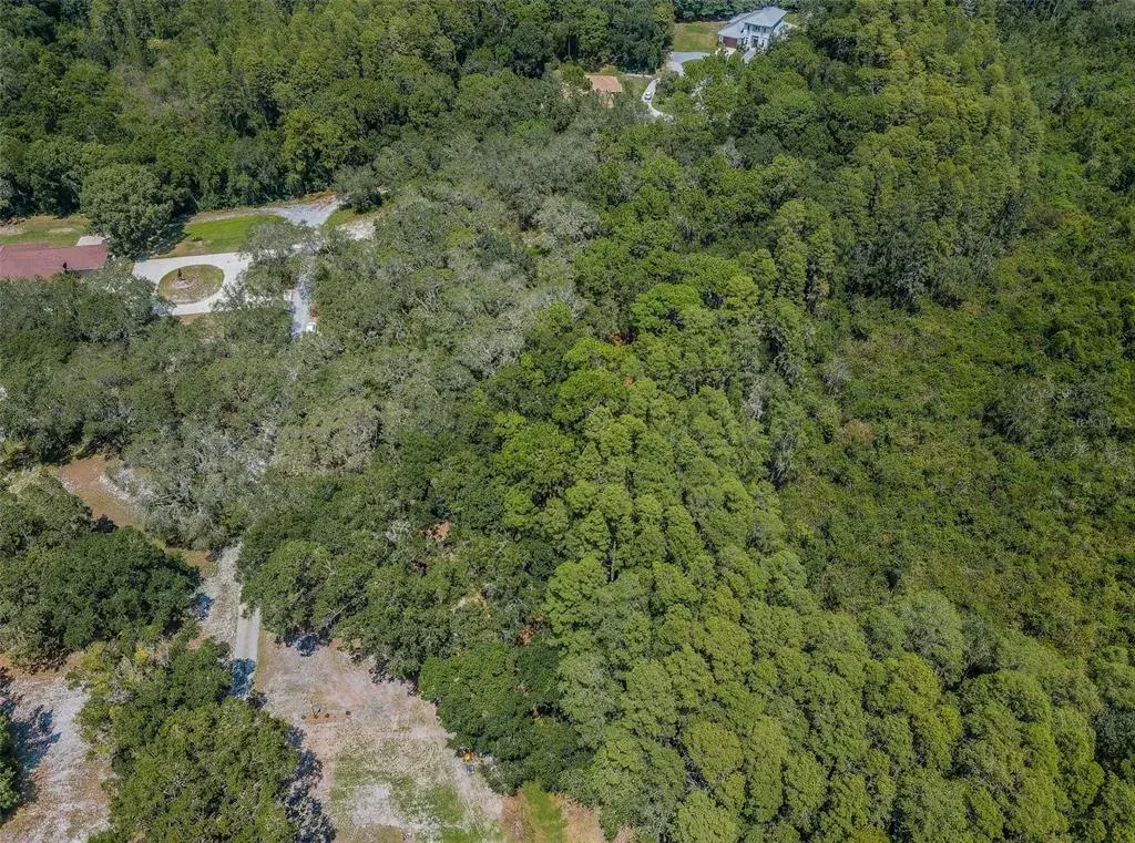 Property for sale at COQUI COURT, ODESSA, FL, 33556