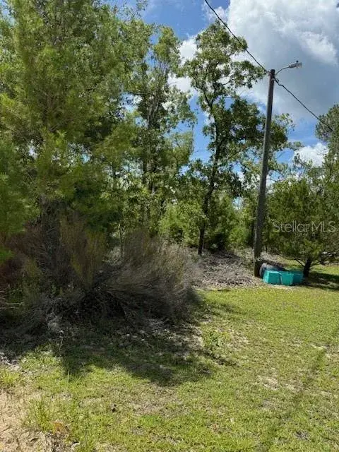 Property for sale at 111 S DAKOTA STREET, HAWTHORNE, FL, 32640