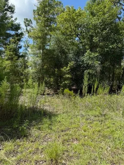 Property for sale at 111 S DAKOTA STREET, HAWTHORNE, FL, 32640